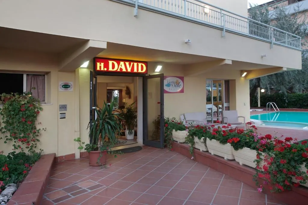 ***  Hotel David 拉文纳 意大利